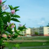 Sayansk/Zima online