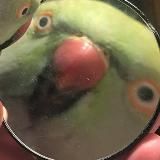 𝓟𝓔𝓡𝓝𝓐𝓣𝓨𝓨