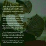 💞❤️TANXOGINAM😘💖💘