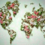 GEOGRAFIYA🌐M̺I̺L̺L̺I̺Y̺ U̺N̺I̺V̺E̺R̺S̺I̺T̺E̺T̺I̺🌐