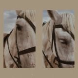 Al hayatim_grupa 🌷🤍