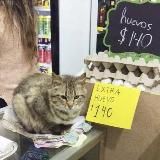 Борн ин Харьков 🇺🇦