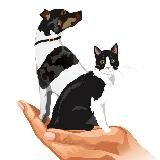 Ветклиника Беланта