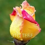 Подборка для тебя|Скидки