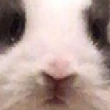 Super Anal B0l (gruppo delle protuberanze)