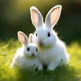 Растем и развиваемся