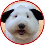 🐶 МИЛОТА.ХВОСТА 🐕