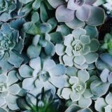 Хай Росте🌿