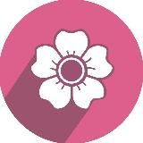 Мероприятия практик Красной Поляны / афиша