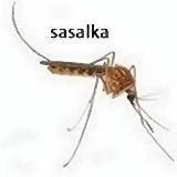 притон Песни полматери