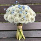 маленькими шагами🖇️