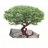 РЕАБИЛИТАЦИЯ МОСКВА