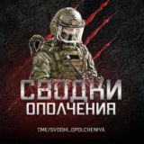 СВОДКИ ОПОЛЧЕНИЯ | ЧАТ