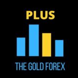 Alza il livello - The Gold Forex