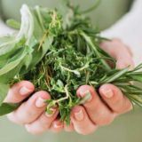 گیاهان معجزه گر