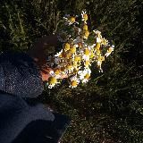 —Turn Off Your Emotions—