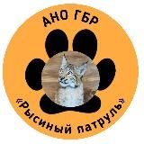 Рысиный патруль🐾