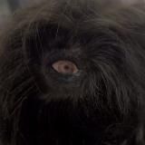 Bio's Shitpost Chamber