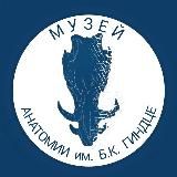 Anatomy_muz 💀 Музей анатомии