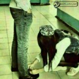 ♡ Lσνε cHατ ♡