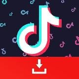 Tik Tok Downloader