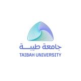 قناة جامعة طيبة.