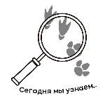 Сегодня мы узнаем...🔎