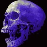 Maybe, Deathmemetal?