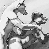 The Otter Cove (18+)