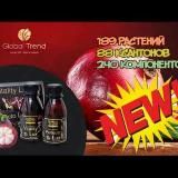 GТC - ИНФОРМАЦИЯ, ОТЗЫВЫ