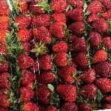 ФРУКТЫ ОВОЩИ ВИДНОЕ