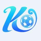 🌸飞机汉化🌸