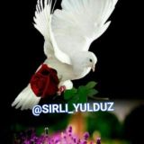 💙B💘E💚G💖'U💙B💝O💜R💓I💚M💗