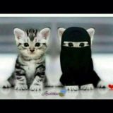 Ʀᴀᴅɴᴏʏʟᴀ😎