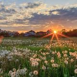 Мир через объектив