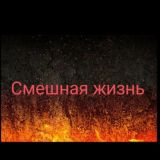 Смешная жизнь