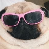 PUG_LEONID