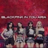 𝐁𝐥𝐚𝐜𝐤𝐩𝐢𝐧𝐤 𝐒𝐡𝐨𝐩♡