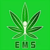 EMS Global Wellness Corp.