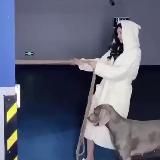 Purelove好評分享