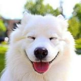 ХА - ХА 😂😉