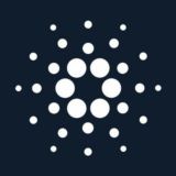 Cardano Community Tech Support Lobby