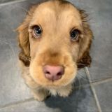 сборище лифтеров