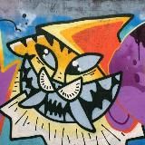 🪅ДВИЖУХА-АДЛЕР🪇