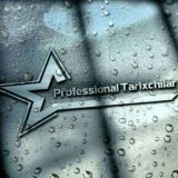 Yosh professonal tarixchilar