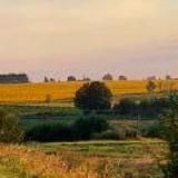 ХАЛЯВА КРИПТЫ - АНАЛИЗ РЫНКА КРИПТОВАЛЮТ