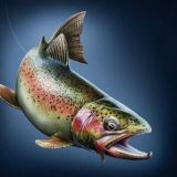 Форелевые хозяйства Chat.