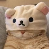 𝐦𝐢𝐥𝐤 𝐚𝐧𝐝 𝐡𝐨𝐧𝐞𝐲.♡︎