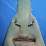 бубнёж