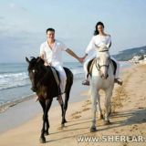 😎 🌴🍃🌺 😄😄😄BAXTLİ DO'STLAR😄😄😄🌴🍂༿🌺ཱྀ 🚩🍂🌴